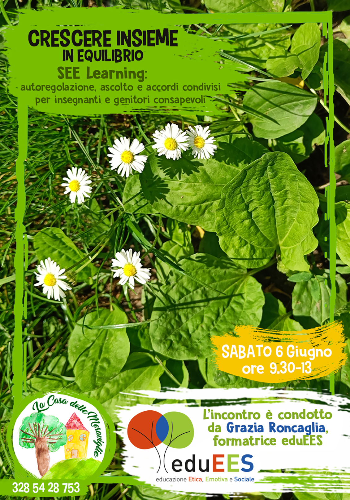 2026_06-SEEgrazia